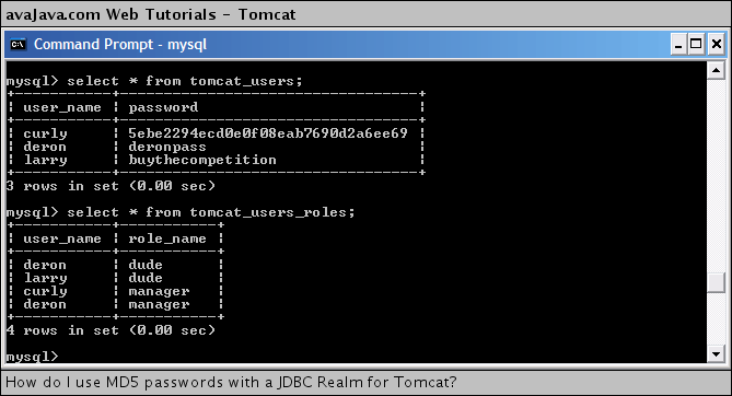 viewing the data in the tomcat_users and tomcat_users_roles tables